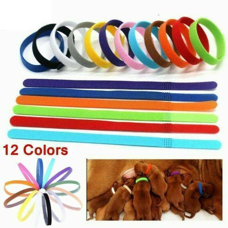 12pcs/set Adjustable Newborn Puppy ID Collar Pet Kitten Colors Cat Band Whelping