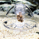 Useful Snail Trap Catcher Aquarium Fish Plant Tank Plastic Clear Pest CatchS Gw