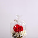 Bird Decorative Glass Dome with Wooden Base - Cloche Bell Jar Display 15cm