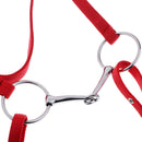 Bridle + Reins of Equestrian Sport Mounted for Horse