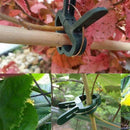 20Pcs Nursery Cane Support Plastic Clips Potted Plants Flowers