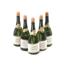 5X Romantic Wedding Party Champagne Bottle Shape DIY Watering Bubble Bottles  3C