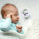 12pcs 1-12 Baby Monthly Stickers Pregnant Women Milestone Memory Photo Prop A
