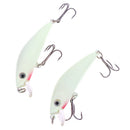 1Pcs Fishing Lure Luminous Lures Hard Bait Fishing Tackle Fishing Accessories FT