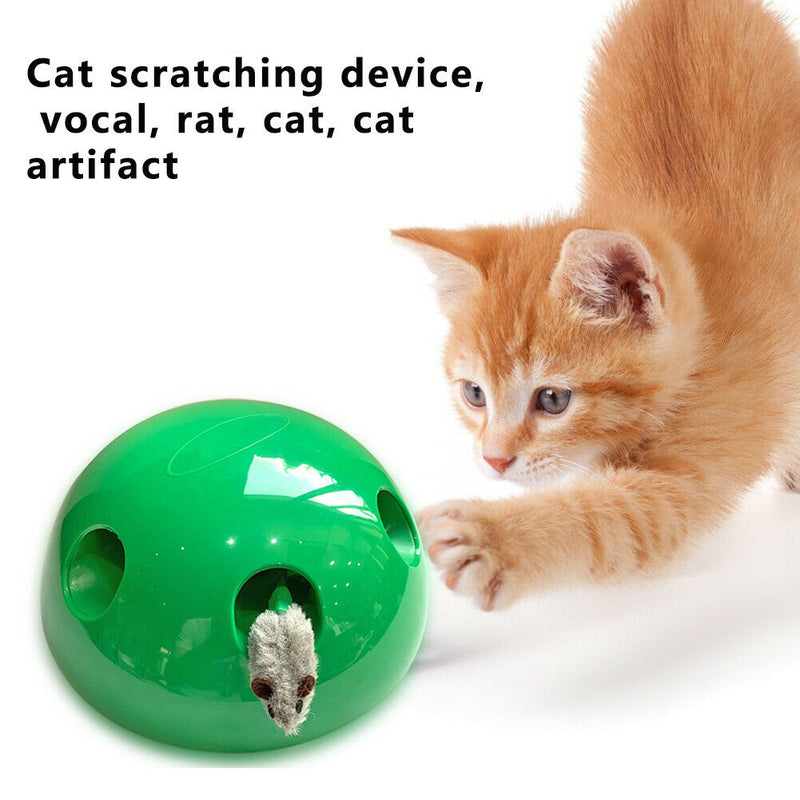 Interactive Pets Cat Toys, Kitten Cat Scratching Games for Indoor Cats