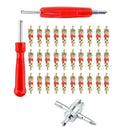 33Pcs Car Bike Tire Valve Core Tool Set for Car Bicycle Motorcycle Tire