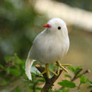 Small Artificial Bird Feather Realistic Sparrow Garden Tree Ornament 15cm