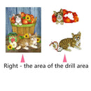 Fruit Cat 5D DIY Diamond Painting Embroidery Craft Cross Stitch Home Decor