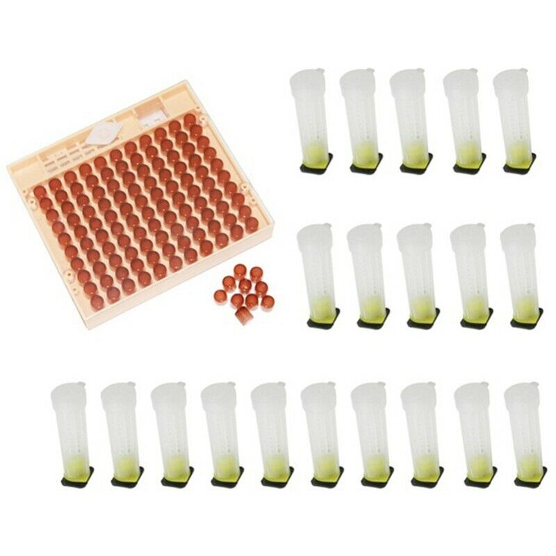 Beekeeping Tools Equipment Set Queen Rearing System Cultivating Box 120Pcs