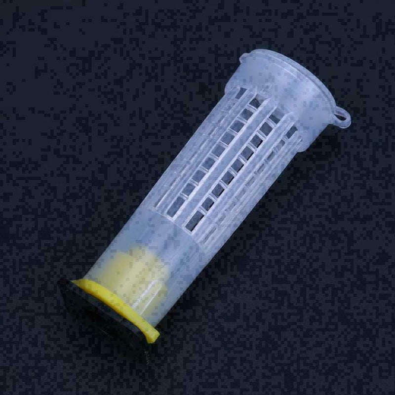 10PCS Beekeeping Rearing Cup Kit Bee Cages Beekeeper Equipment Tools T4M8 V F0O4