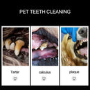 Dog Plaque Calculus-Remover Scraper Dental Veterinary B5A8 Filling Tooth Sc S5S7