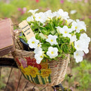 Bamboo Garden Plant Labels Vegetable Herbs Gardening Markers T-Type Plant TaE6E2