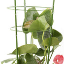 Climbing Plants Support, Garden Trellis Flowers Tomato Cages Stand Set Of 3