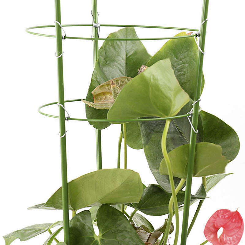 Climbing Plants Support, Garden Trellis Flowers Tomato Cages Stand Set Of 3