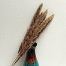 30Pcs Natural Dried Pampas Grass Reed Flower Home Wedding Bunch Bouquet Decor #