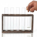 Test Tube Planter Flower Bud Vase with Wood Stand Tabletop Glass Terrarium