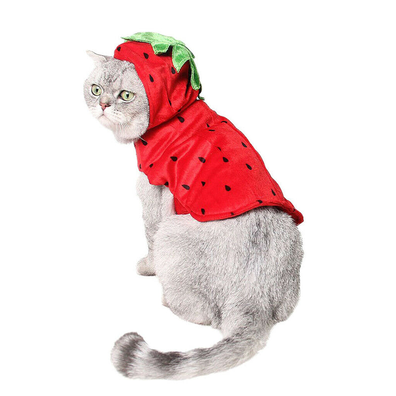 Kitty Cat Halloween Outfit Strawberry Costume Funny