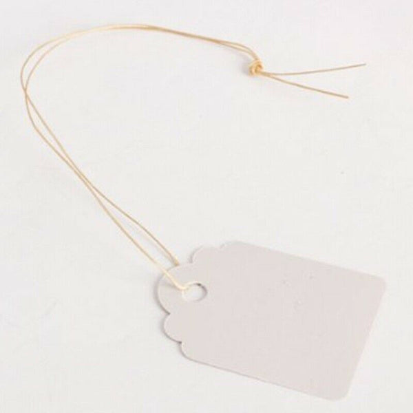 100pcs Waterproof Strip Line Gardening Labels Signs Plant Hanging Tags Whit