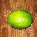 1PCS 9.5CM Artificial Simulation fruit Lemon Kindergarten Garden Family Kit
