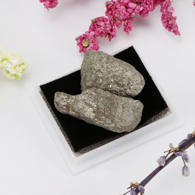 Kids Science Kit Rock And Mineral Collection in Clear Box - Pyrite