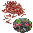 50x Gardening Grafting Clips For Home Garden Vegetable Bushes Vine Flower Q6R4