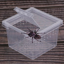 30x Reptile Vivarium Terrarium Breeding Tank Plastic Feeding Rearing Box