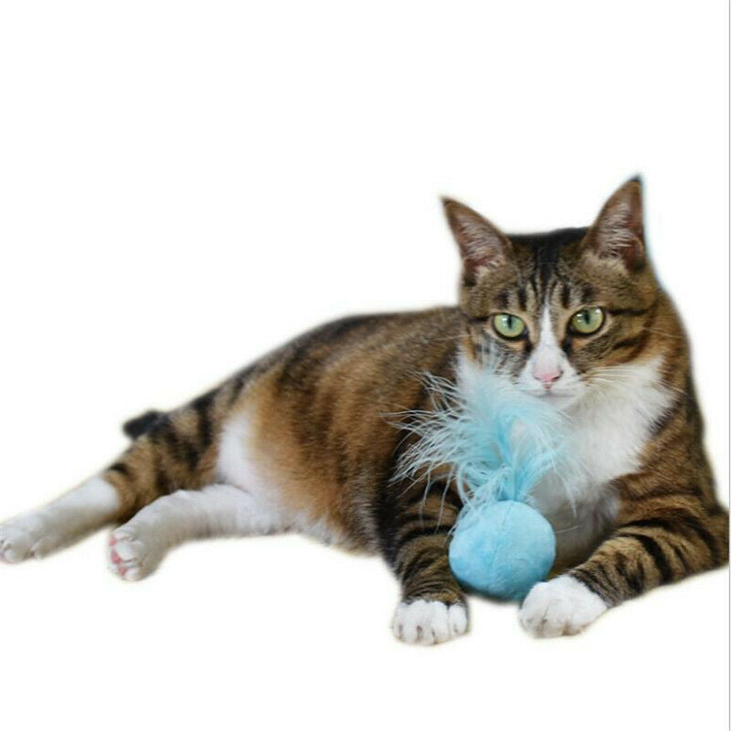 Sound flannel toys ball hair ring bell feather teaser cat toys pet cat supp M6T2