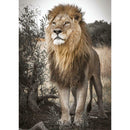 5D DIY Full Drill Diamond Painting Lion Desert Cross Stitch Embroidery Kits