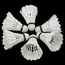 6Pcs White Goose Feather Badminton Shuttlecocks Outdoor Ball Game Training CYX
