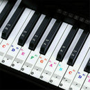 49, 54 ,61or 88-KEY Music Keyboard Piano Stickers for Speeds Memory of the Keys
