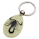 Glow-In-The-Dark Real Insect Keychain (Black Scorpion) D5A9