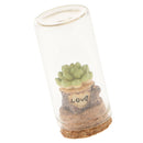 Cute Green Succulent Statue Garden Home Statues Protected by Glass Terrarium