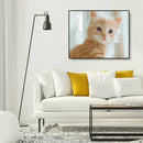 Painting By Numbers Kit DIY Silly Cat Hand Painted Canvas Oil Art Picture