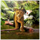 5D DIY Diamond Painting Full Drill Lion Zoo Embroidery Cross Stitch Kit Art