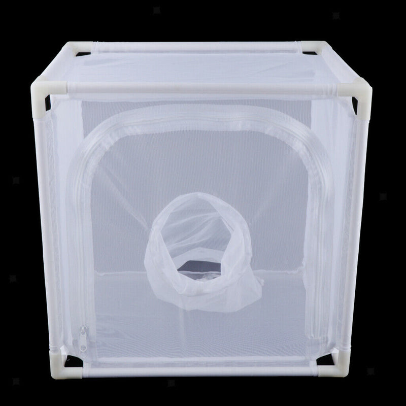 Insect Butterfly Net Terrarium Cage for Raising Insects Butterflies Bugs