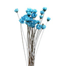 30Pcs Natural Daisy Beautiful Daisy Preserved Flowers Dried Flowers Everlas K3B3