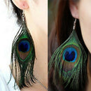 Fashion Women's Assorted Color Peacock Natural Feather Earrings Drop Earrings GZ