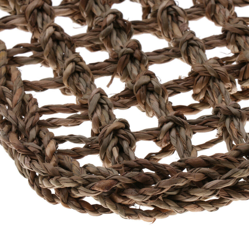 2pcs  Reptile Lizard Habitat Decor Accessories, Bearded Dragon Natural