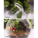 Hot Sell Home Decor Pear Crystal Vase Planter Terrarium Container Hydroponic Pot