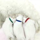 12pcs Puppy Kitten Identification Collar  Whelping ID Collar Bands