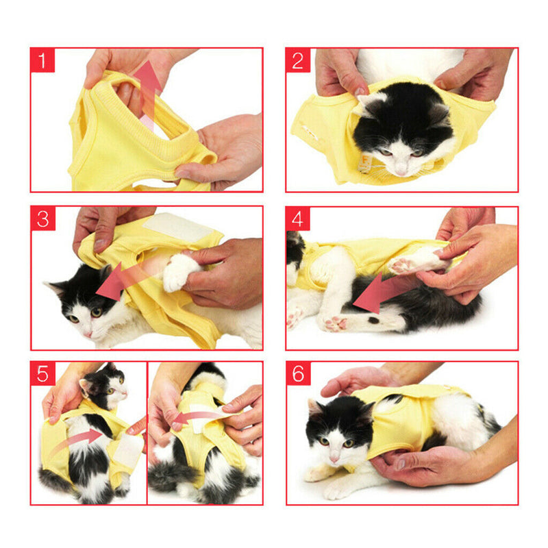 2Pcs After Shaving Daily Wear Recovery Suit for Cat Dog Pet Clothes ( Blue &