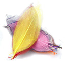 50x Mixed Natural SKELETON LEAVES SCRAPBOOK Craft Embellishment Bookmark