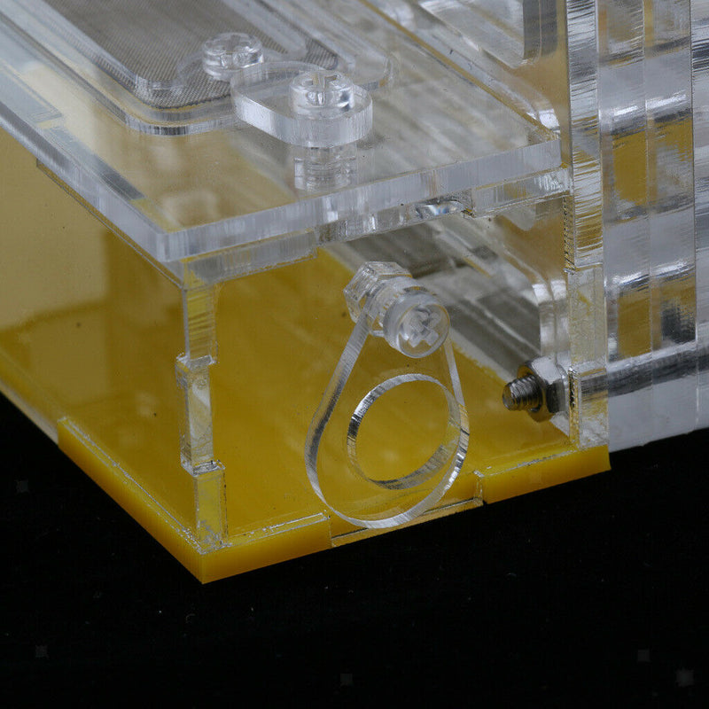 Ants Clear Acrylic Box Farm Formicarium Moistiurising & Ventilated