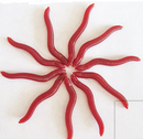 50Pcs Simulation Earthworm Worms Artificial Fishing Lure Tackle Soft Bait 4cm