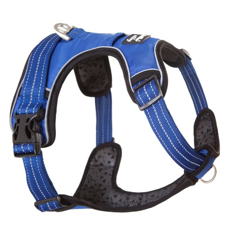 brother cat dog Strong Dog Harness For Dogs Training Vest Medium Big Dogs A