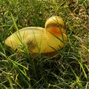8 Pieces Plastic Floating Swan Duck Decoy for Hunting &Fishing Garden Scarer