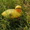 8 Pieces Plastic Floating Swan Duck Decoy for Hunting &Fishing Garden Scarer