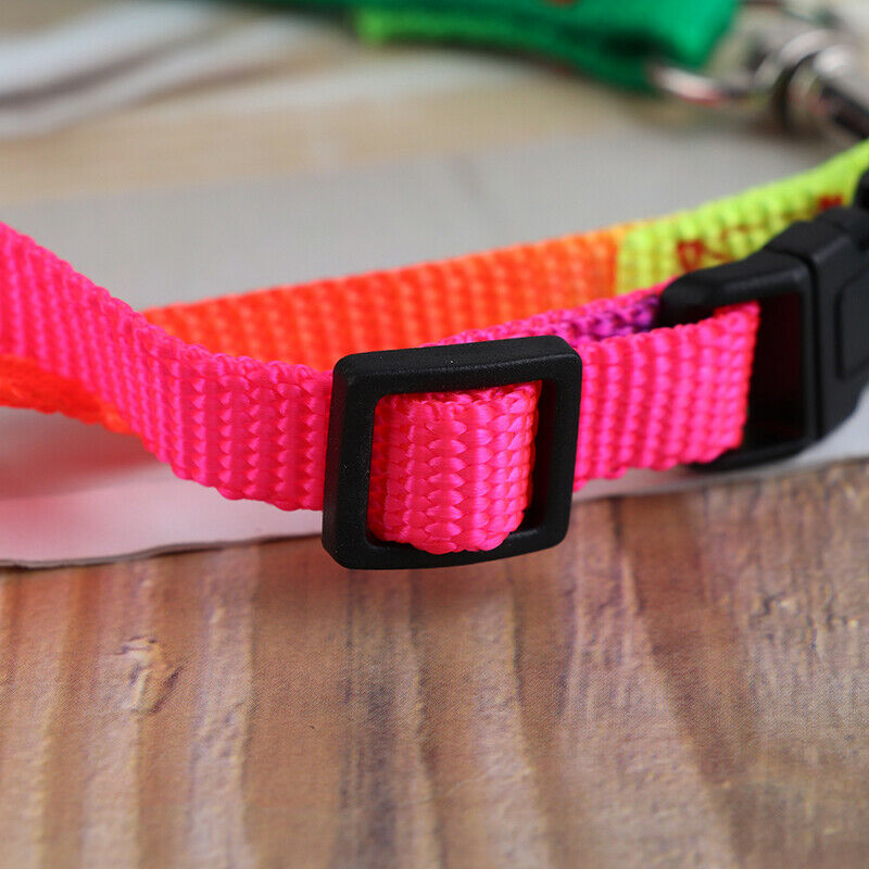 ColorfulRainbow Pet Dog Collar Harness Leash Soft Walking Durable Traction Rope`