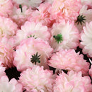 30x Carnations Craft Artificial Flower Silk Spherical Heads Wedding Decor - Y6G2