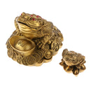 3 Legged Feng Shui Fortune Wealth Chinese Toad Coin Ornaments Lucky Gifts S